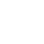 Ana Verzone Logo