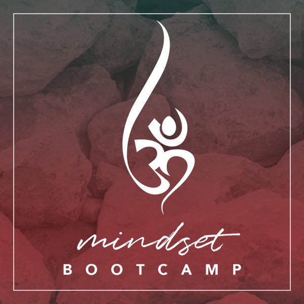 Mindset Bootcamp